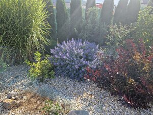 Novostavba - bungalov 100 m2 v obci Košeca, pozemok 800 m2 — foto 24