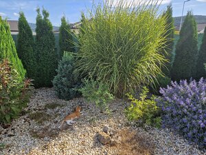 Novostavba - bungalov 100 m2 v obci Košeca, pozemok 800 m2 — foto 26