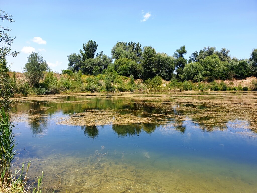 Rekreačný pozemok s troma jazerami o výmere 10ha - Zelená Voda, Beckov — foto 5