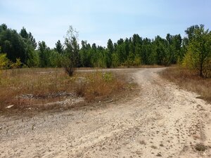 Rekreačný pozemok s troma jazerami o výmere 10ha - Zelená Voda, Beckov — foto 6