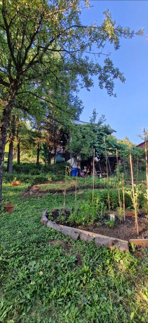 Predaj záhrady, Sady pod Dedovcom, Žliabok , Trenčianske Teplice — foto 5