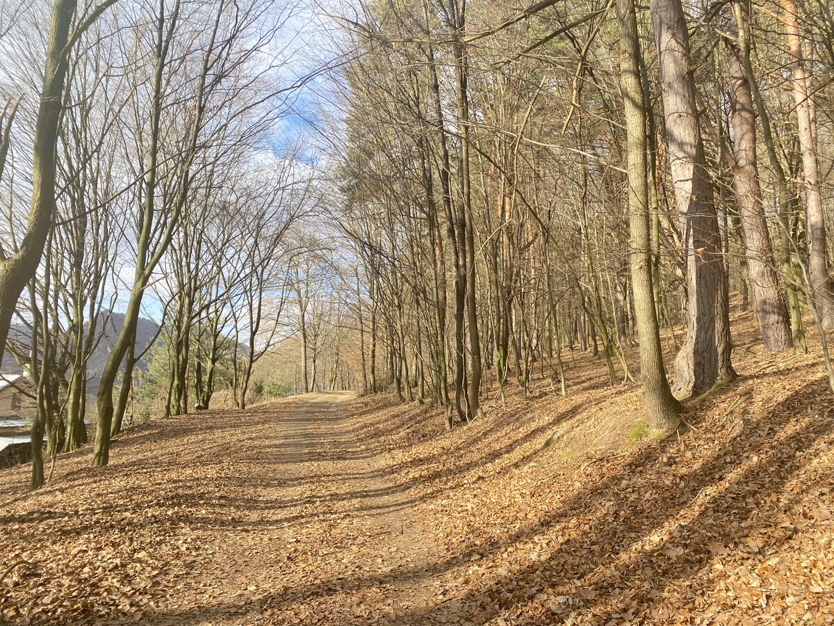 Rekreačný pozemok Dolná Súča - 1482 m2 — foto 2