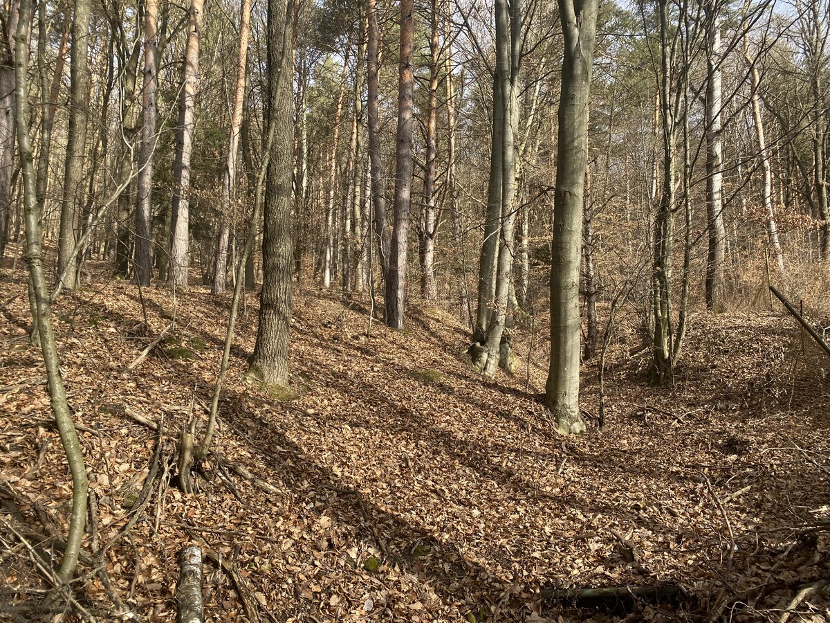 Rekreačný pozemok Dolná Súča - 1482 m2 — foto 11
