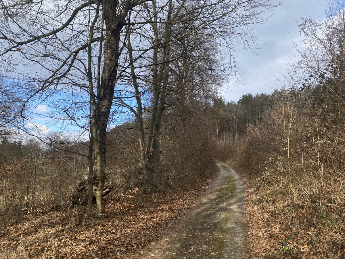 Rekreačný pozemok Dolná Súča - 1482 m2 — foto 12