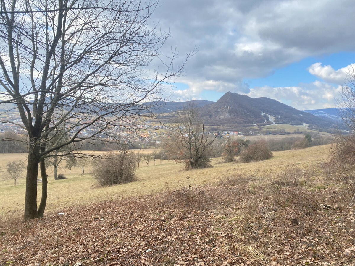 Rekreačný pozemok Dolná Súča - 1482 m2 — foto 3