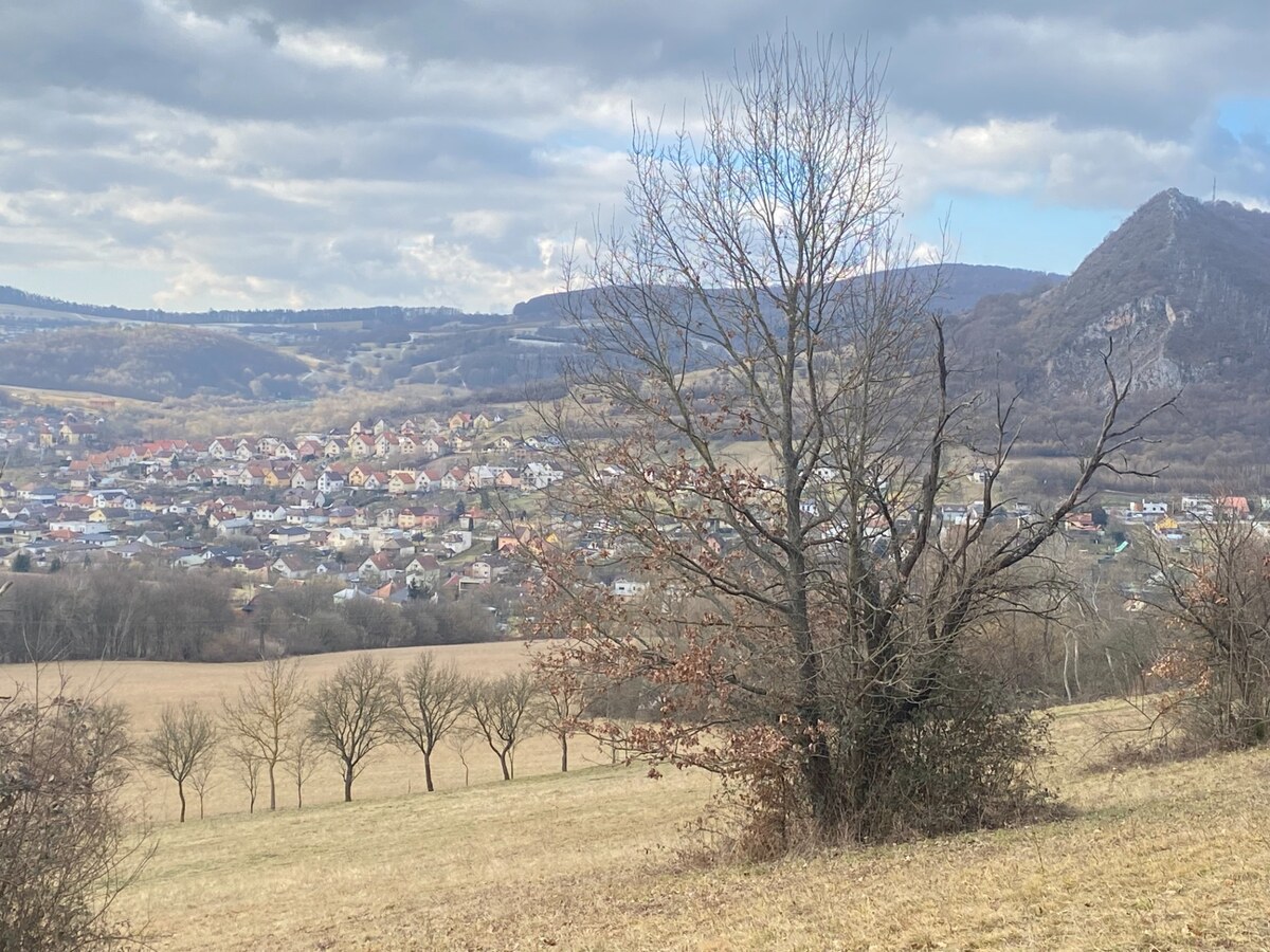 Rekreačný pozemok Dolná Súča - 1482 m2 — foto 7