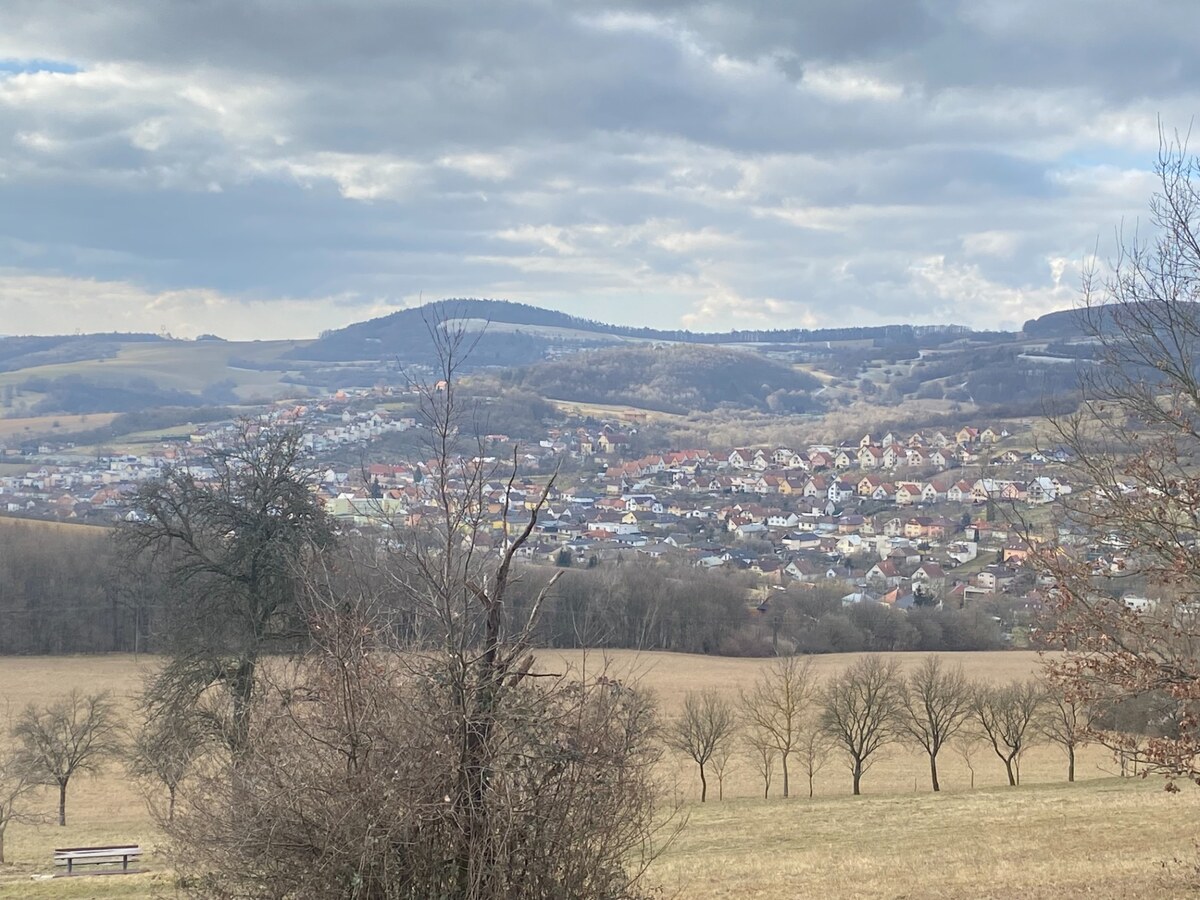 Rekreačný pozemok Dolná Súča - 1482 m2 — foto 8