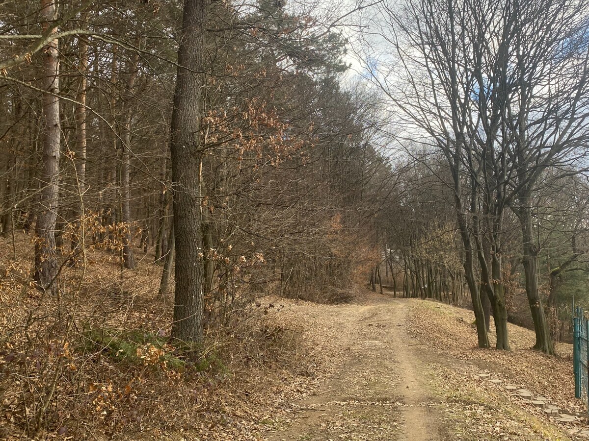 Rekreačný pozemok Dolná Súča - 1482 m2 — foto 9