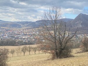 Rekreačný pozemok Dolná Súča - 1482 m2 — foto 7