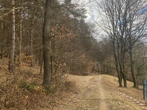 Rekreačný pozemok Dolná Súča - 1482 m2 — foto 9