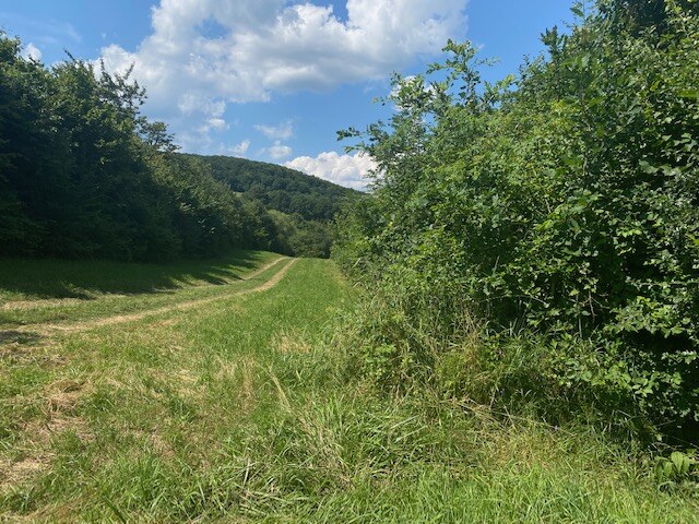 Pozemok na rekreáciu - Dolná Súča - Polníky - 1326 m2 — foto 3