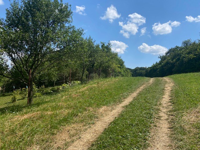 Pozemok na rekreáciu - Dolná Súča - Polníky - 1326 m2 — foto 5