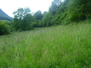 Na predaj pozemok ILAVA - HORNÁ PORUBA, 3100m2 *** KRÁSNY VÝHĽAD *** — foto 7