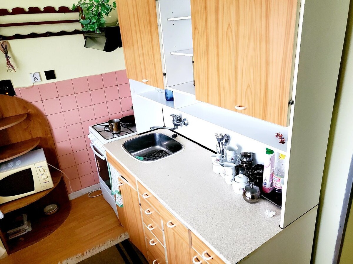 2 izbový  byt  Bánovce nad Bebravou, CENTRUM, 53 m2 ,LOGGIA ,PIVNICA