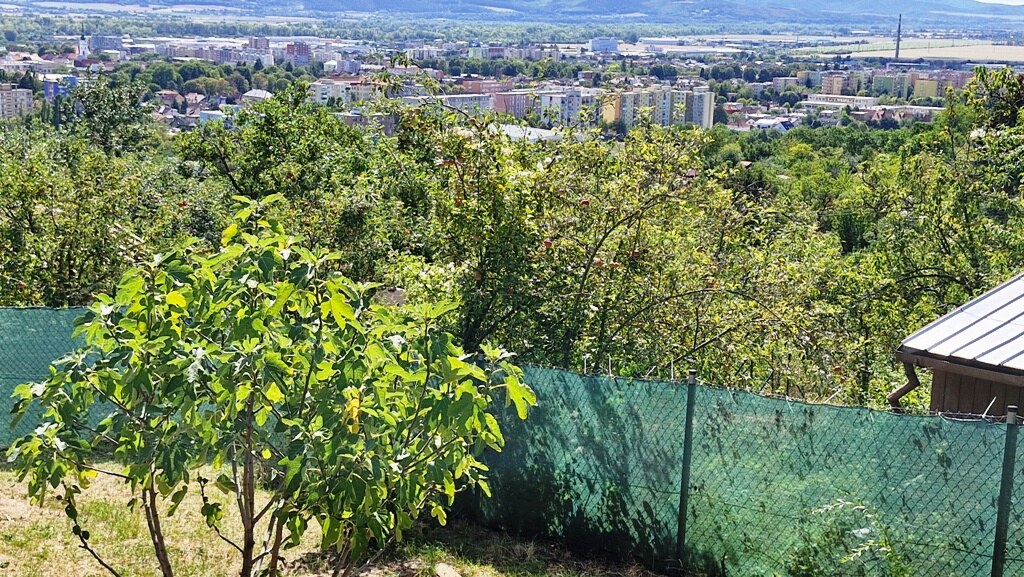 Záhradná chata s príslušenstvom a pozemkom 402 m2 - Nové Mesto n/V — foto 8