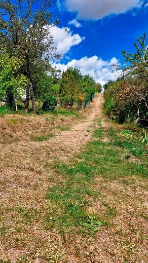 Záhradná chata s príslušenstvom a pozemkom 402 m2 - Nové Mesto n/V — foto 37
