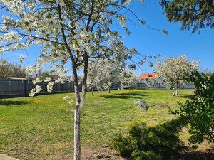 Na predaj veľký rodinný dom s rozsiahlym pozemkom Svätý Peter ! — foto 19