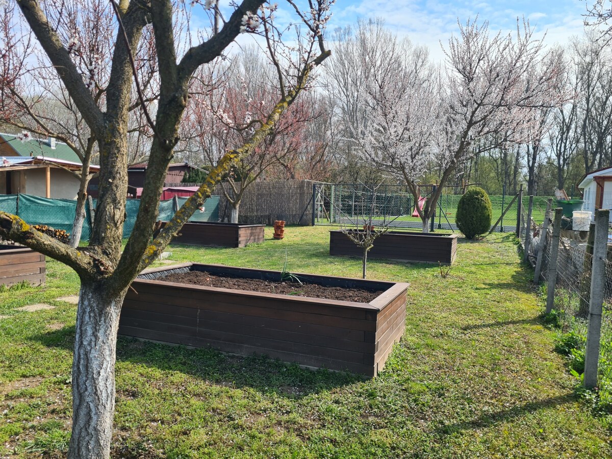 Na predaj súkromná záhradná oáza blízko Dunaja Štúrovo ! — foto 6
