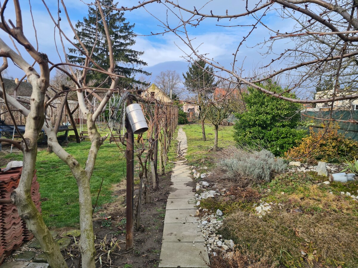 Na predaj krásny pozemok na výstavbu rodinného domu Svätý Peter ! — foto 4