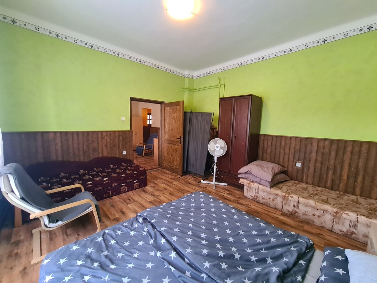 Na predaj rodinný dom - podnikanie Kravany nad Dunajom ! — foto 11