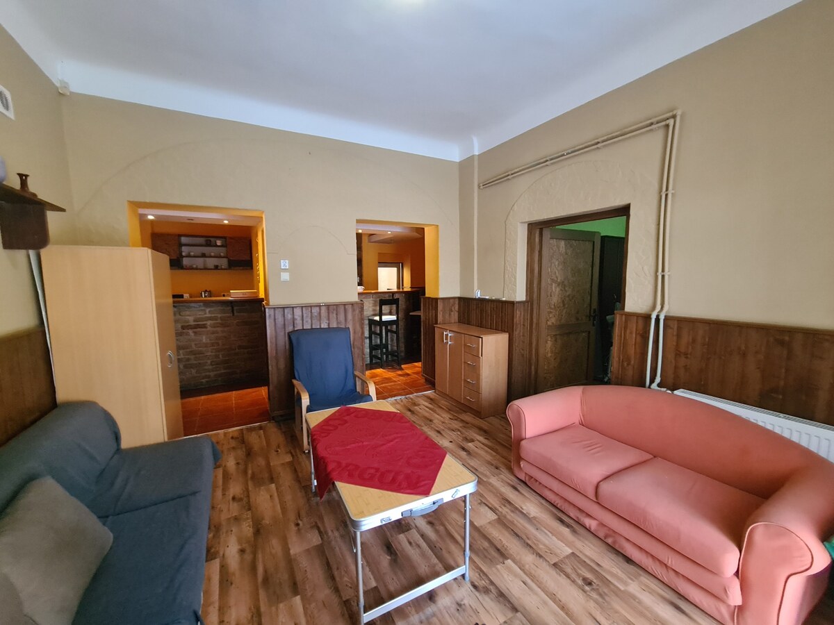 Na predaj rodinný dom - podnikanie Kravany nad Dunajom ! — foto 7