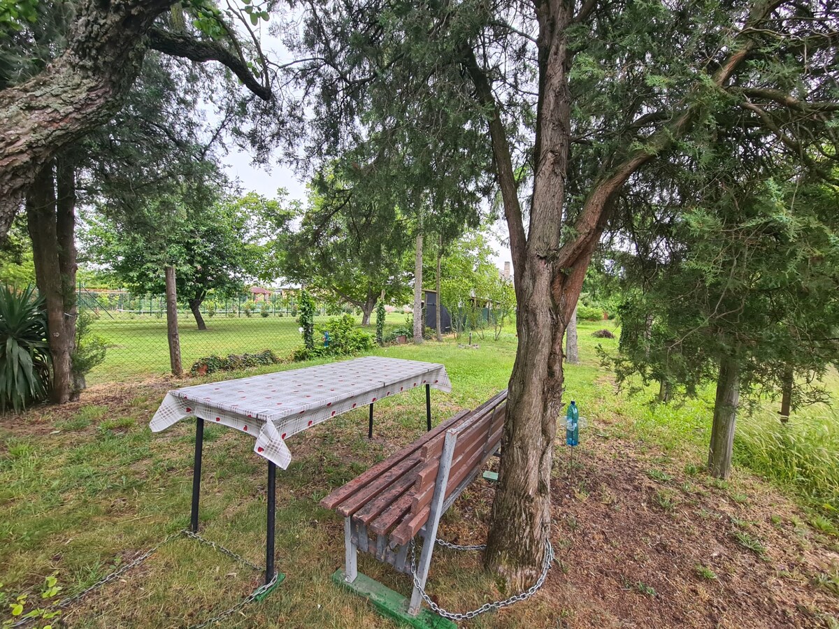 Na predaj domček s veľkým ovocným sadom Nová Stráž ! — foto 10