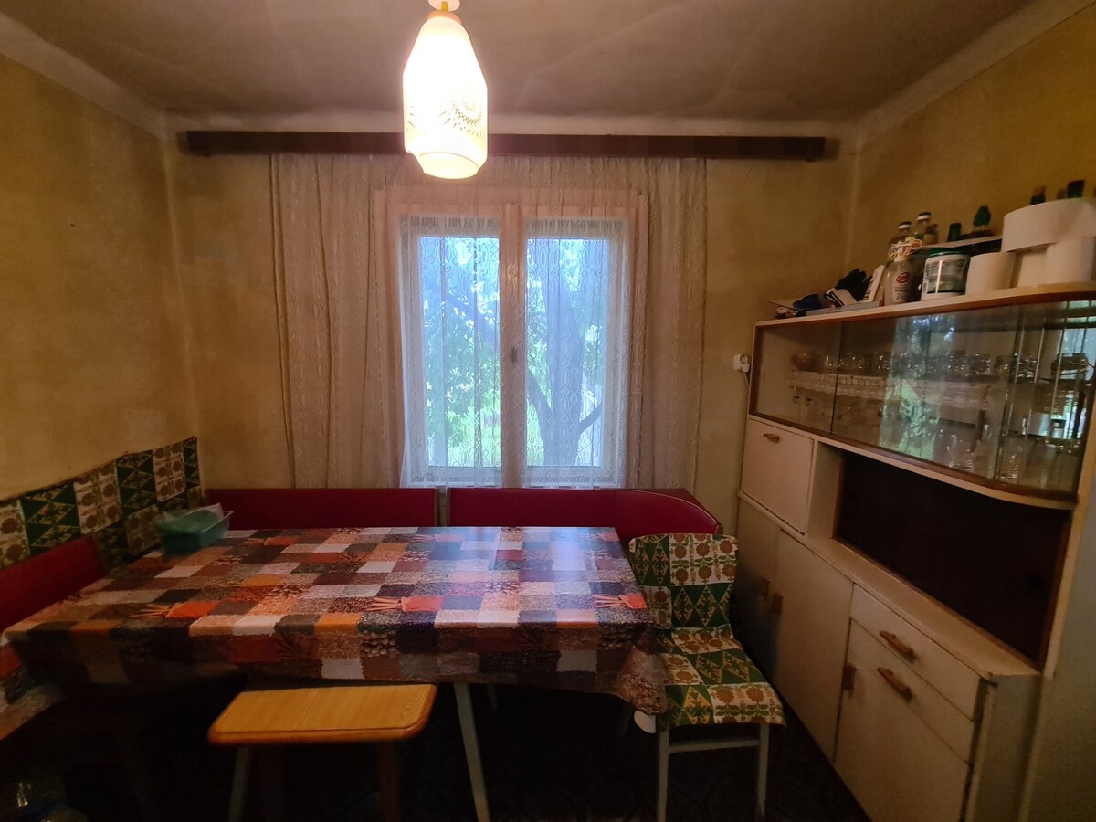 Na predaj domček s veľkým ovocným sadom Nová Stráž ! — foto 6