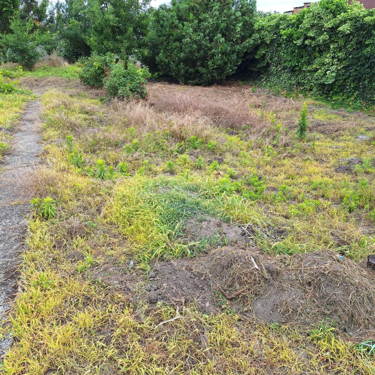 Na predaj RD s BENEFITOM v obci Trnovec nad Váhom okr. Šaľa. — foto 8