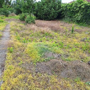 Na predaj RD s BENEFITOM v obci Trnovec nad Váhom okr. Šaľa. — foto 8