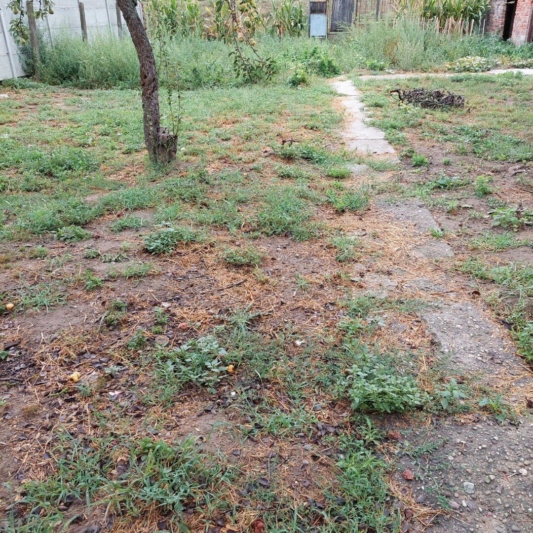 Netradičný rodinný dom – „kaštieľ“ v obci Neded. — foto 13