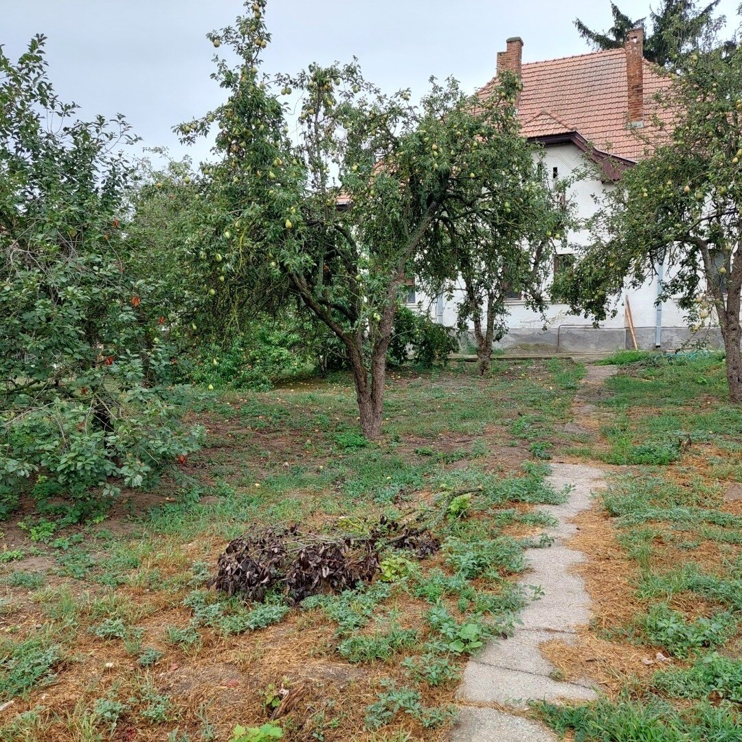 Netradičný rodinný dom – „kaštieľ“ v obci Neded. — foto 14