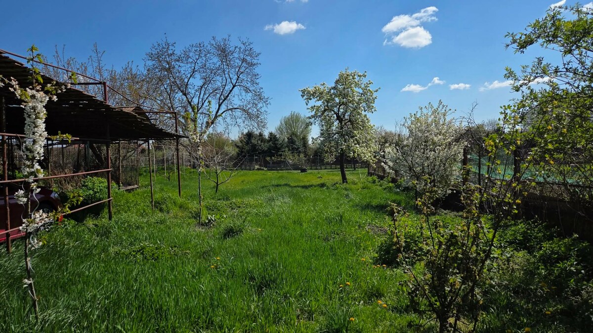 Na predaj 7 i RD s ďalšími MOŽNOSŤAMI obec Dlhá nad Váhom okr. Šaľa — foto 3