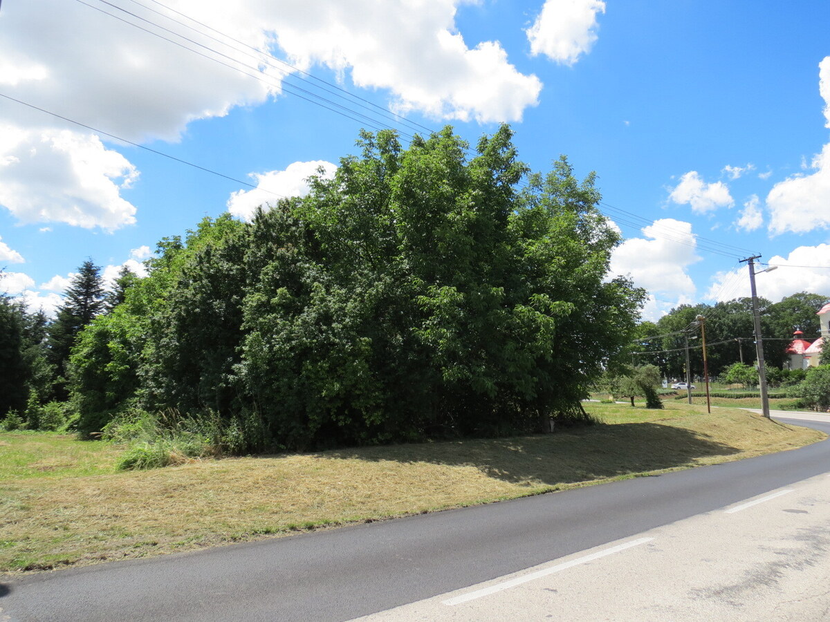 Pozemok v centre 2581 m2 na predaj - Paňa — foto 5