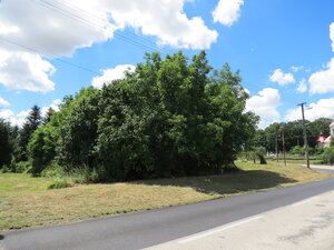 Pozemok v centre 2581 m2 na predaj - Paňa — foto 5