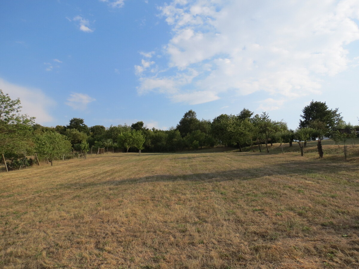 Stavebný pozemok s výhľadom 2116 m2 - Nevidzany — foto 4