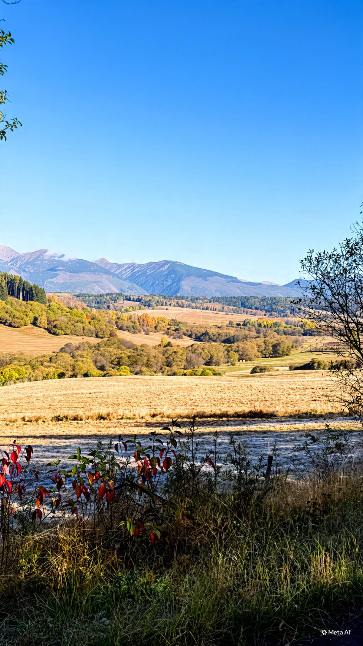 PREDAJ POZEMKU VO VÝCHODNEJ – 3 786 m² | REKREAČNÝ POTENCIÁL — foto 2