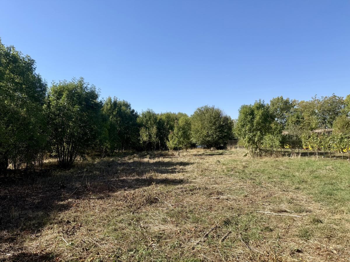 INVESTIČNÁ PRÍLEŽITOSŤ: 2 411 m² POZEMOK S RD A S MOŽNOSŤOU VÝSTAVBY 3 DVOJDOMOV — foto 11