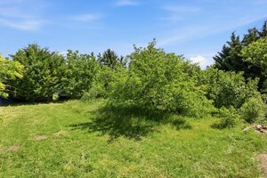 SÚKROMNÝ REZORT 40 MIN OD BRATISLAVY | 550 m² DOM + 5 100 m² POZEMOK + BAZÉN + WELLNESS — foto 6