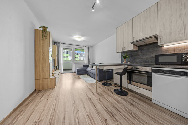 Klimatizovaný 1i byt s balkónom, novostavba 2016, Rustaveliho
