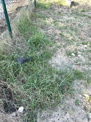 Slnečný stavebný pozemok na úpätí Malých Karpát, Marianka — foto 12