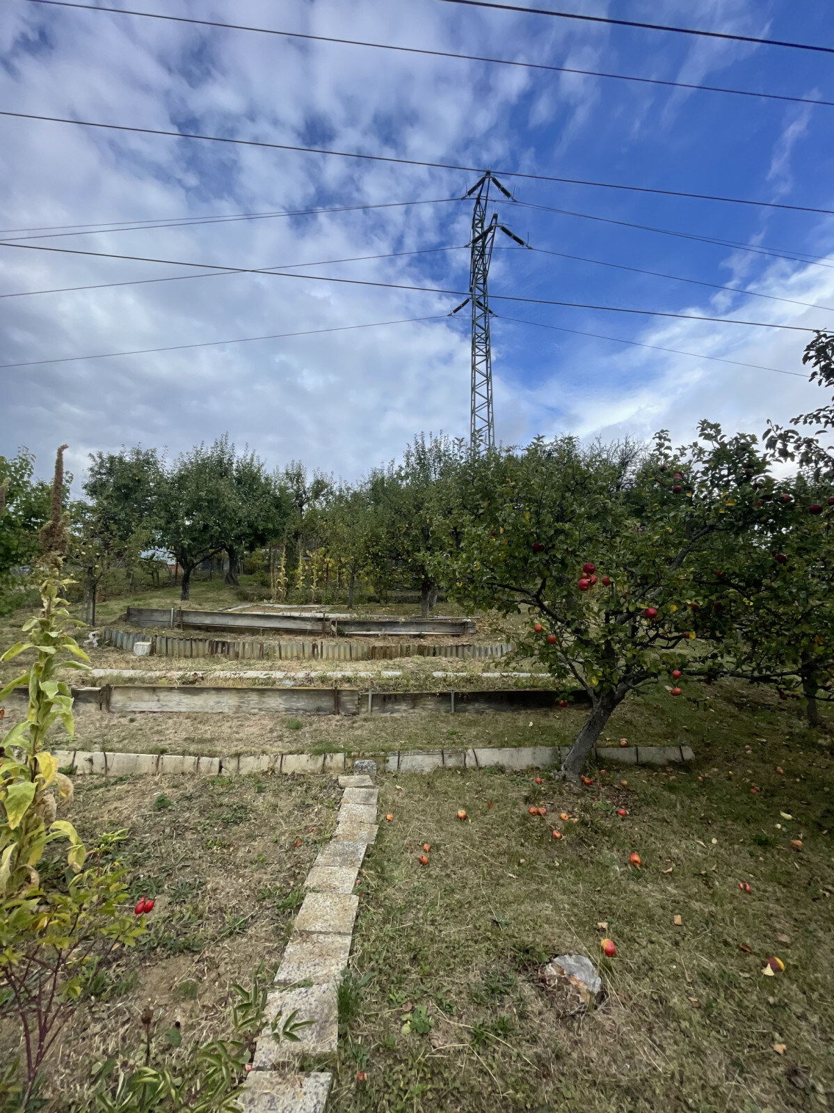 Záhrada s chatkou a ovocným sadom — foto 6