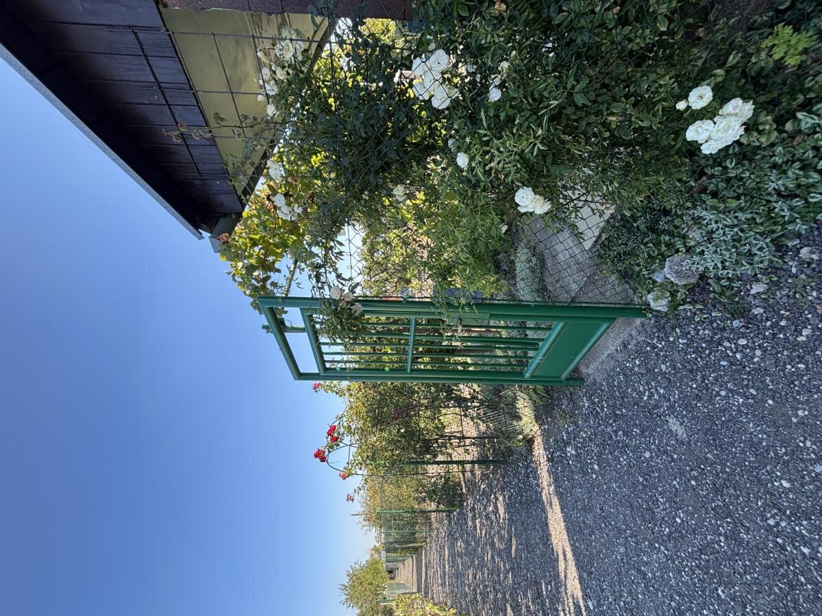 Veľká slnečná záhrada 650 m² – chatka, elektrina a vlastná studňa – Žabí Majer — foto 26