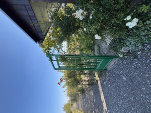 Veľká slnečná záhrada 650 m² – chatka, elektrina a vlastná studňa – Žabí Majer — foto 26